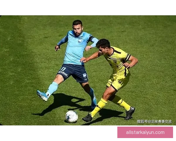 比利时2026新代年轻球员表现稳健，备受关注与期待